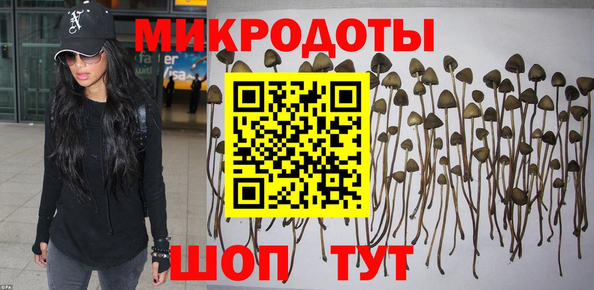 Галлюциногенные грибы мицелий  Вход с VPN  Курчалой 